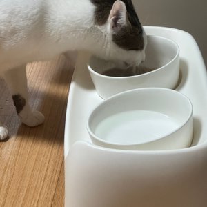 베스트 후기 이미지