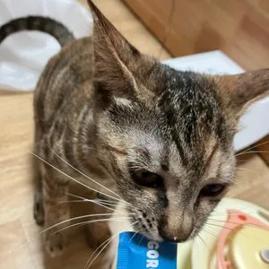 베스트 후기 이미지