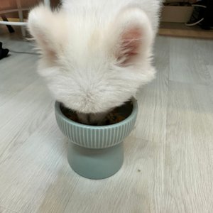 베스트 후기 이미지