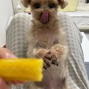 베스트 후기 이미지