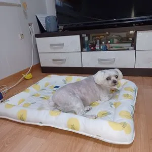 베스트 후기 이미지