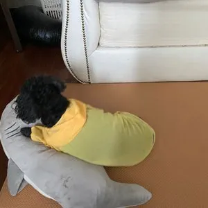 베스트 후기 이미지