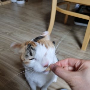 베스트 후기 이미지
