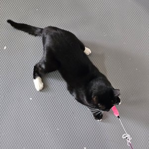 베스트 후기 이미지