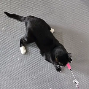 베스트 후기 이미지