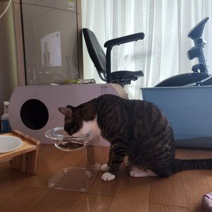 베스트 후기 이미지