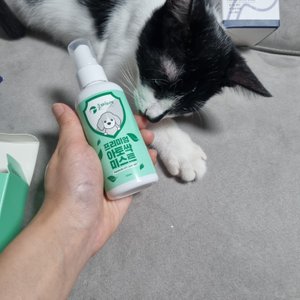 베스트 후기 이미지