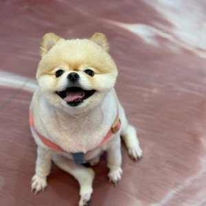 베스트 후기 이미지