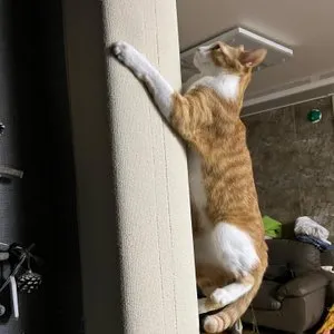 베스트 후기 이미지