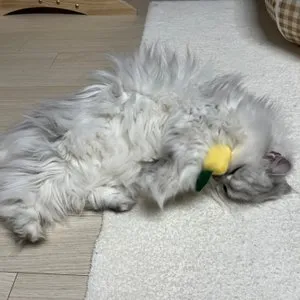 베스트 후기 이미지