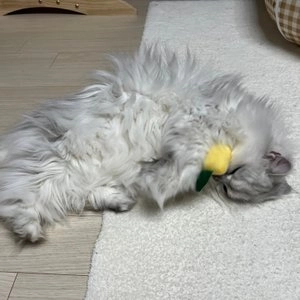 [무료배송] 블랭크데이 레몬 장난감 캣닢마따따비/삑삑이 베스트 후기 이미지