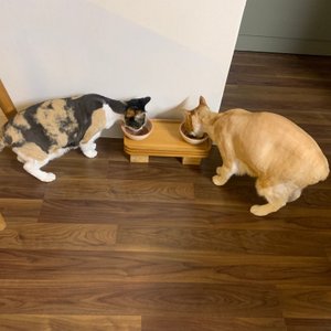 베스트 후기 이미지