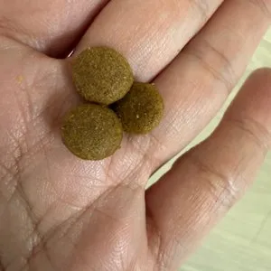 베스트 후기 이미지