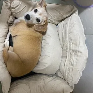 베스트 후기 이미지