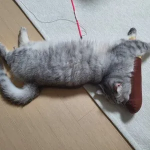 베스트 후기 이미지