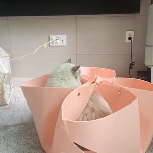 베스트 후기 이미지