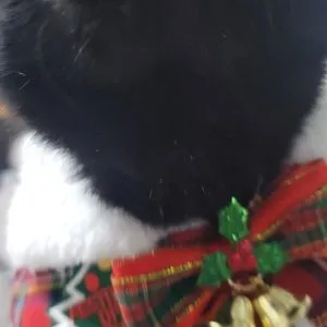 베스트 후기 이미지