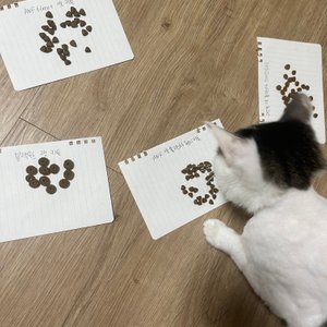 베스트 후기 이미지