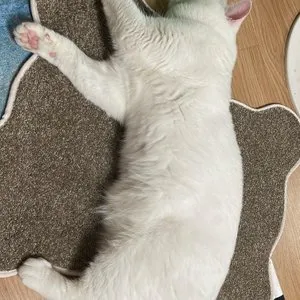 베스트 후기 이미지