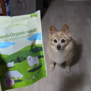 베스트 후기 이미지