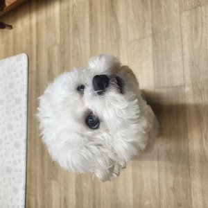 베스트 후기 이미지
