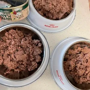 베스트 후기 이미지