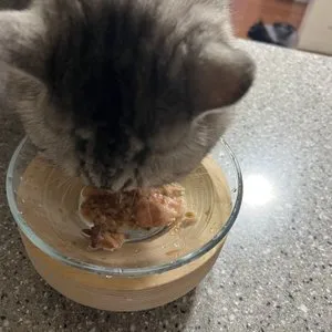 베스트 후기 이미지