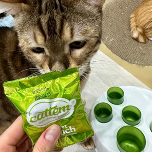 베스트 후기 이미지
