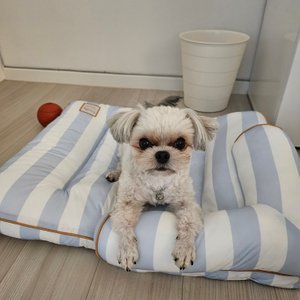 베스트 후기 이미지