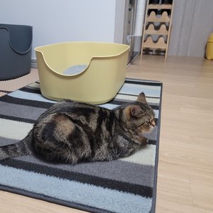 베스트 후기 이미지