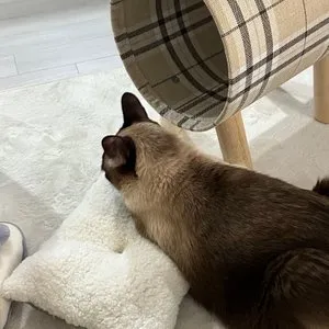 베스트 후기 이미지