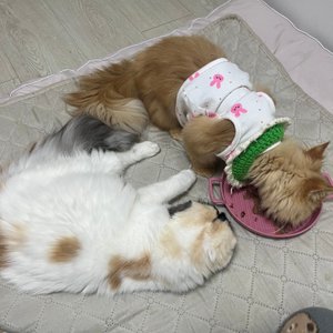 베스트 후기 이미지