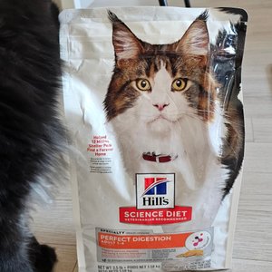 베스트 후기 이미지