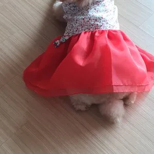 베스트 후기 이미지