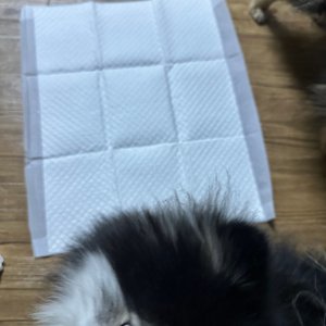 베스트 후기 이미지