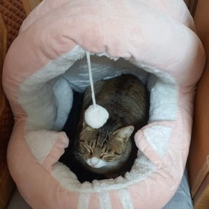 [무료배송] 딩동펫 반려동물 냥이 밍크하우스 동굴형/바구니형 그레이/핑크 M-L 베스트 후기 이미지