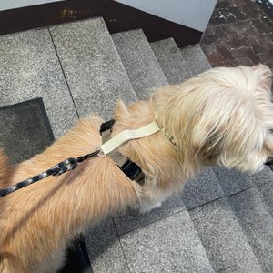베스트 후기 이미지