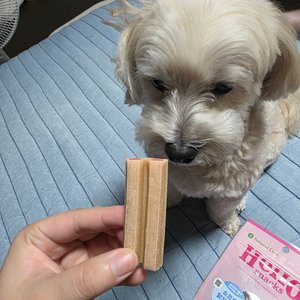 베스트 후기 이미지