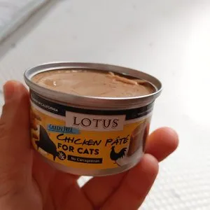 베스트 후기 이미지