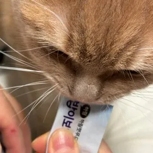 베스트 후기 이미지