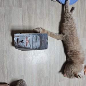 베스트 후기 이미지