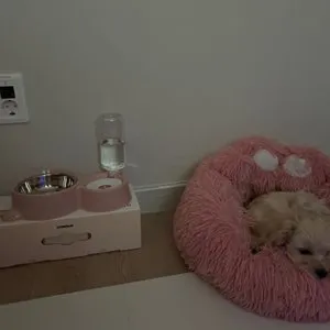 베스트 후기 이미지