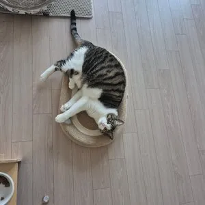 베스트 후기 이미지