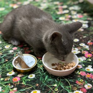 베스트 후기 이미지