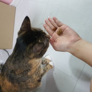 베스트 후기 이미지