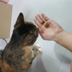 베스트 후기 이미지