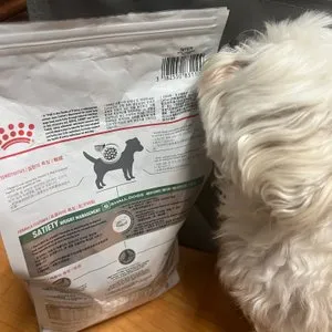 베스트 후기 이미지