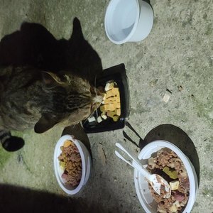 베스트 후기 이미지