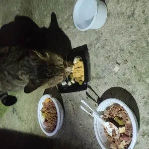 베스트 후기 이미지