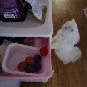 베스트 후기 이미지